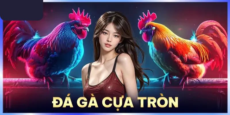 Kỹ thuật huấn luyện đá gà